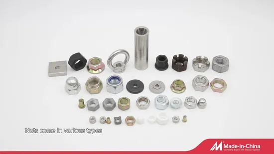High Cost Performance Precision GB6170 Ss Nuts for Equipment Assembly